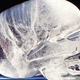 Illustration for article titled Skeptoid's Brian Dunning Debunks Crystal Skulls and Bigfootology in Episode 5 of The Geek's Guide to the Galaxy